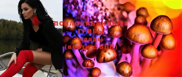 PSILOCYBIN Алексин