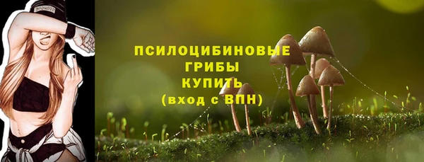 марки lsd Алексеевка