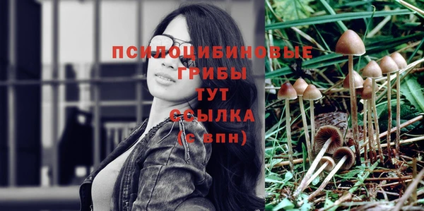 гашик Абдулино